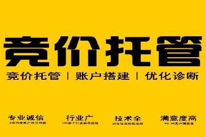 竞价开户实战：成功案例解析
